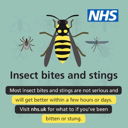 Insect-bites-and-stings-NHS.jpg