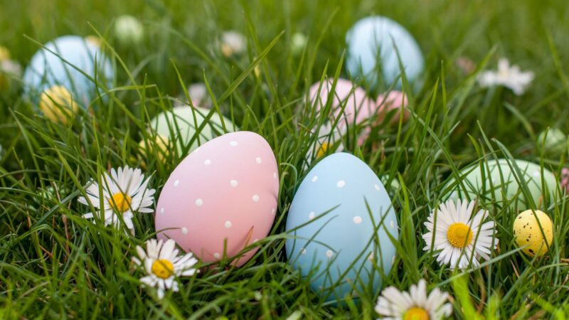 pastel coloured easter eggs and daisies in the grass