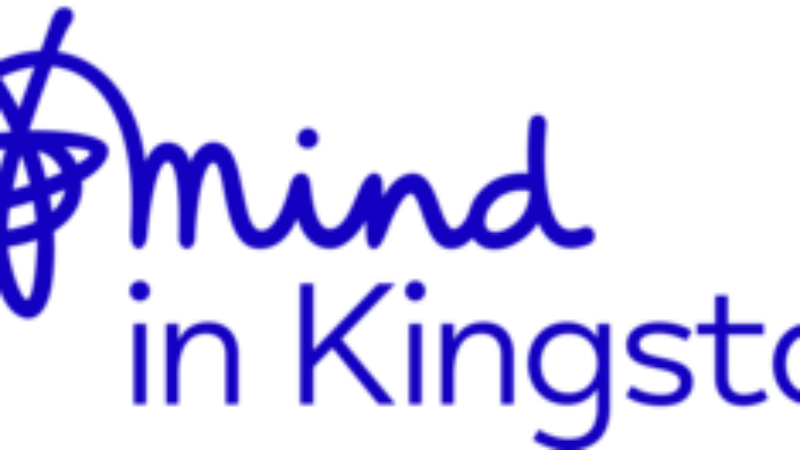 mind in kingston logo