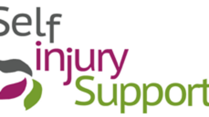 self injury support logo